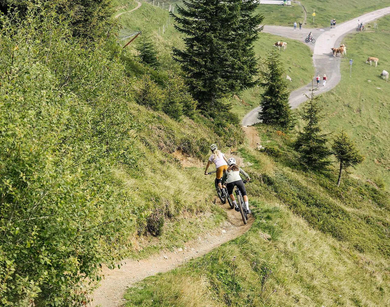 Bike @ Kitzbühel Tourismus(4)