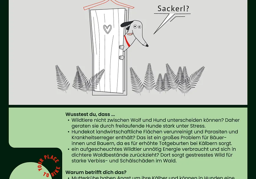 Aufklaerungstafeln_Langtext_TS_22-360°-Stil_Seite_6