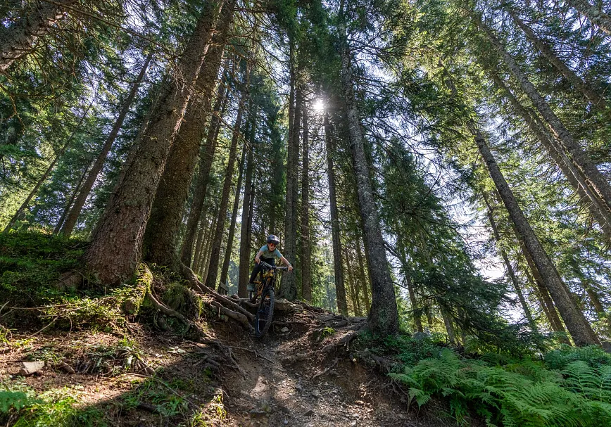 Technische Trailpassagen lassen beim Fleckalm Trail legendäres Enduro Feeling und Tec Flow aufkommen.
