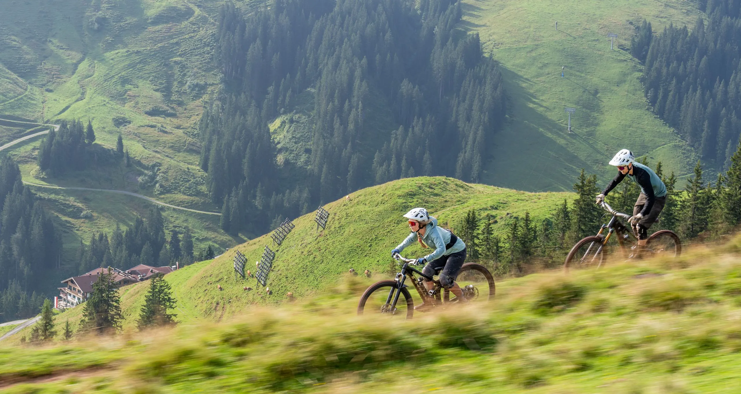 Zwei Mountainbiker fahren über einen schmalen Trail durch grüne Almwiesen am Berghang.
